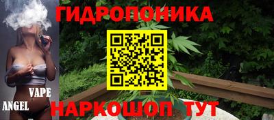 альфа пвп Гатчина