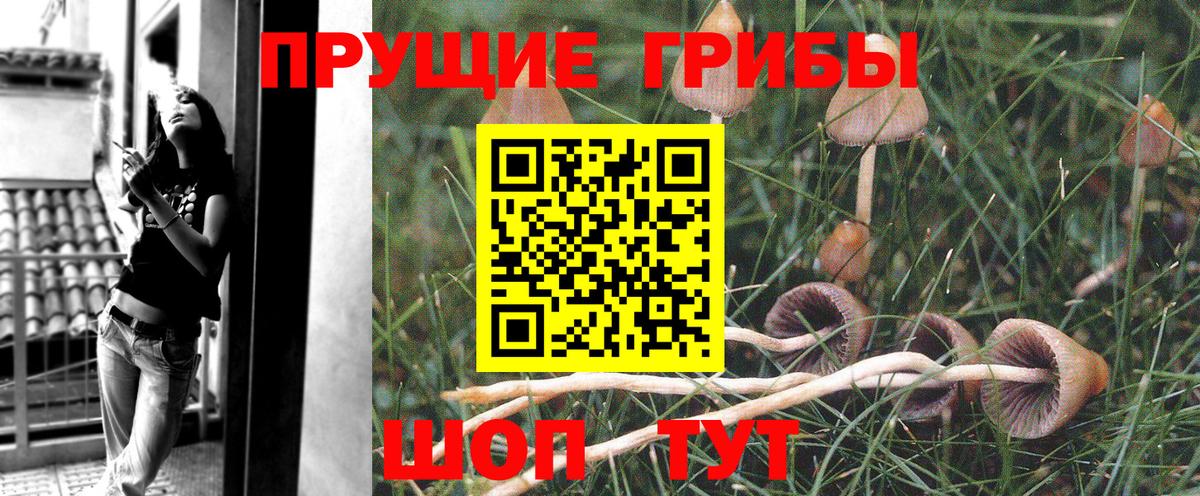 цена наркотик  Галлюциногенные грибы Cubensis  Вход с VPN  Псилоцибиновые грибы Magic Shrooms  Мыски 